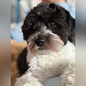 Meet your Posher, Stasia